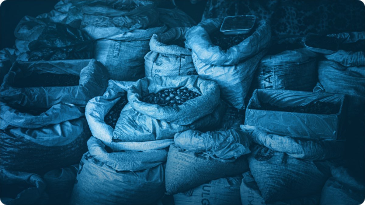 Open sacks of grain and pulses stacked high in a wholesale store, a scoop resting in each one.