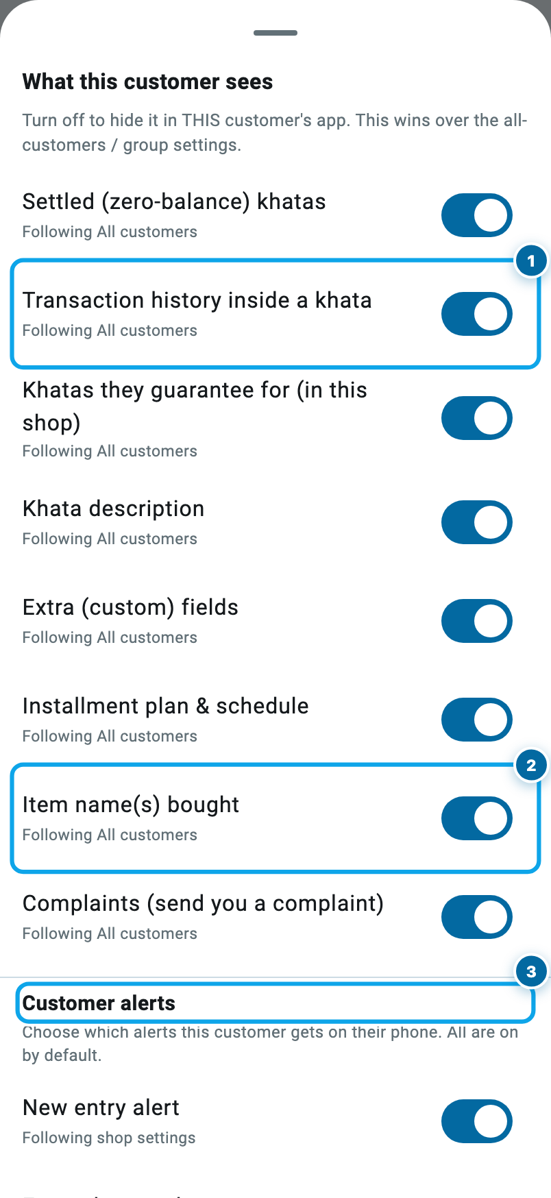 The per-customer visibility sheet in Wasoolo with switches and the customer alerts section