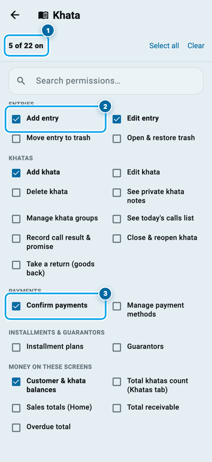 Wasoolo ka khata permissions safha: entries, khate, payment aur paise wale switch, kuch on kiye hue