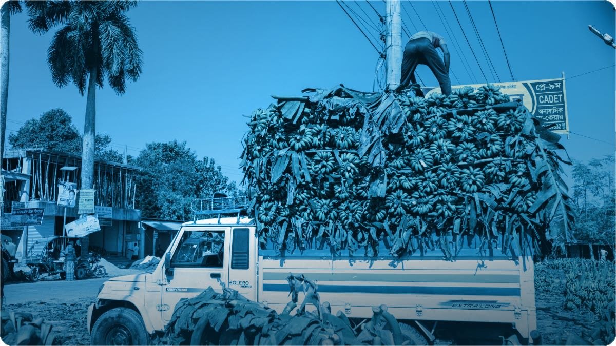Sarak kinare kelon se lada hua truck, upar khara aadmi load bandh raha hai.